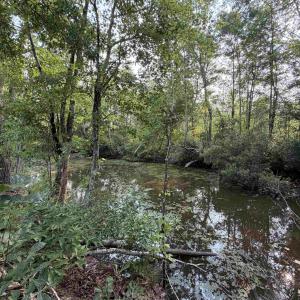Photo #20 of 85± Acres - Antler Dr, Johnsonville, SC 85.0 acres