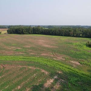 Photo #1 of 85± Acres - Antler Dr, Johnsonville, SC 85.0 acres