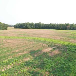 Photo #16 of 85± Acres - Antler Dr, Johnsonville, SC 85.0 acres