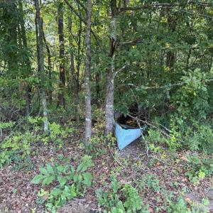 Photo #17 of 85± Acres - Antler Dr, Johnsonville, SC 85.0 acres