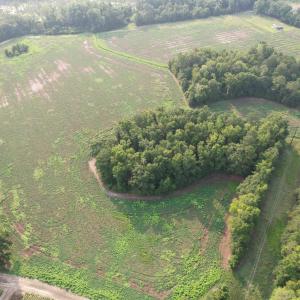 Photo #7 of 85± Acres - Antler Dr, Johnsonville, SC 85.0 acres