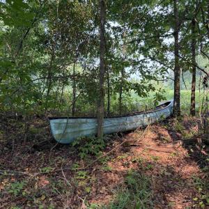 Photo #19 of 85± Acres - Antler Dr, Johnsonville, SC 85.0 acres