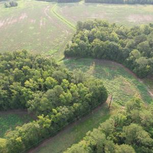 Photo #8 of 85± Acres - Antler Dr, Johnsonville, SC 85.0 acres
