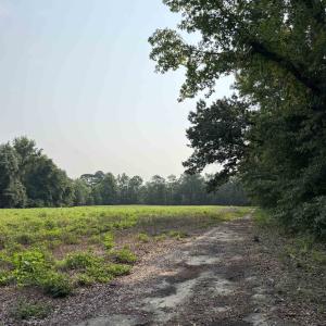 Photo #21 of 85± Acres - Antler Dr, Johnsonville, SC 85.0 acres