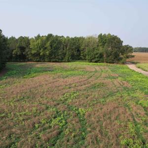 Photo #5 of 85± Acres - Antler Dr, Johnsonville, SC 85.0 acres