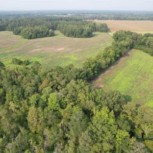Photo #4 of 85± Acres - Antler Dr, Johnsonville, SC 85.0 acres