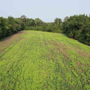 Photo #3 of 85± Acres - Antler Dr, Johnsonville, SC 85.0 acres