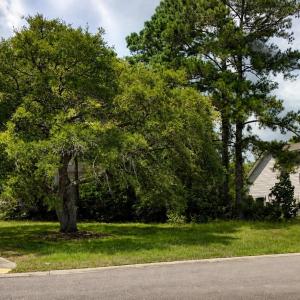 Photo #1 of 2638 Seaport Circle, Georgetown, SC 0.2 acres