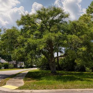 Photo #2 of 2638 Seaport Circle, Georgetown, SC 0.2 acres
