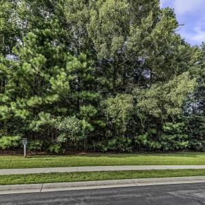 Photo #2 of 155 Low Country Loop, Murrells Inlet, SC 0.5 acres