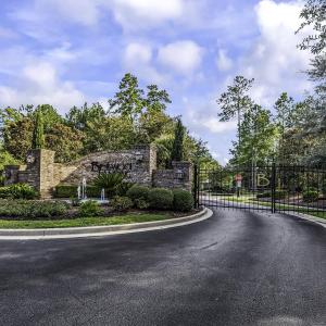 Photo #3 of 155 Low Country Loop, Murrells Inlet, SC 0.5 acres