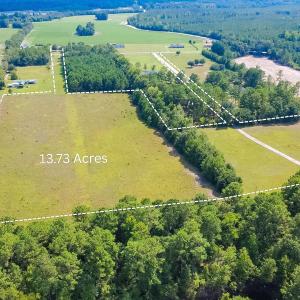 Photo #4 of TBD McNabb Shortcut Rd., Loris, SC 14.0 acres
