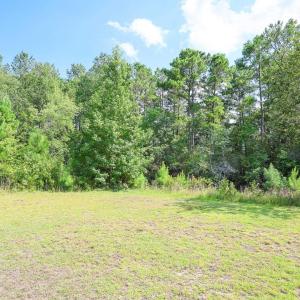 Photo #7 of TBD McNabb Shortcut Rd., Loris, SC 14.0 acres