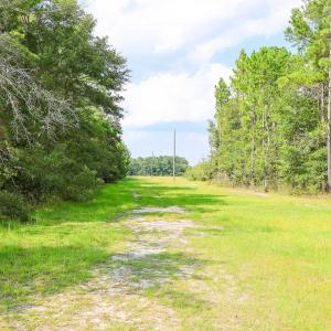 Photo #10 of TBD McNabb Shortcut Rd., Loris, SC 14.0 acres