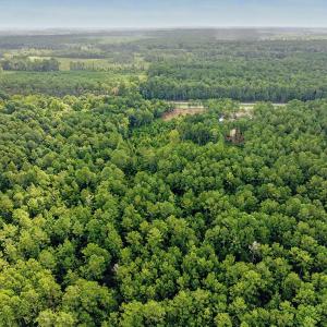 Photo #2 of TBD Fraser St., Georgetown, SC 8.9 acres