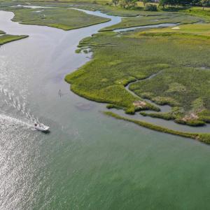 Photo #34 of Lot 47 Hunters Oak Ct., Pawleys Island, SC 0.3 acres