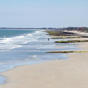 Photo #29 of Lot 47 Hunters Oak Ct., Pawleys Island, SC 0.3 acres