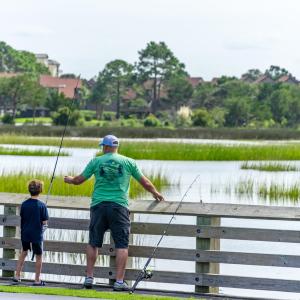 Photo #27 of Lot 47 Hunters Oak Ct., Pawleys Island, SC 0.3 acres