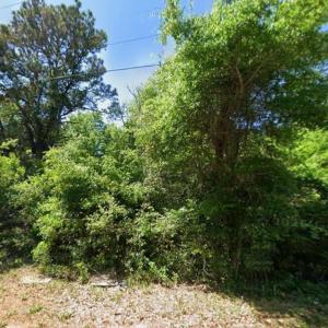 Photo #4 of 615 Parkersville Rd., Pawleys Island, SC 2.4 acres