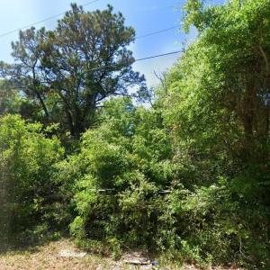 Photo #5 of 615 Parkersville Rd., Pawleys Island, SC 2.4 acres