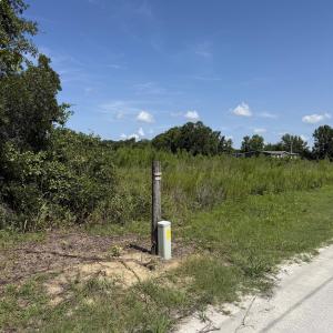Photo #11 of 183 Dove Rd., Loris, SC 12.1 acres