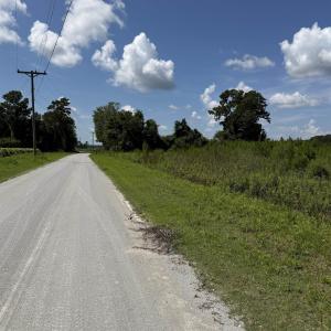 Photo #6 of 183 Dove Rd., Loris, SC 12.1 acres