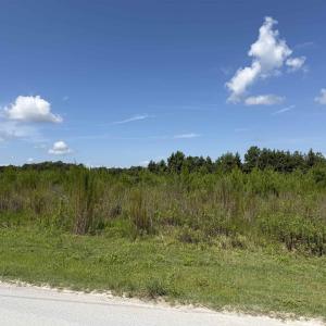 Photo #4 of 183 Dove Rd., Loris, SC 12.1 acres
