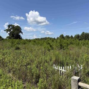 Photo #3 of 175 Dove Rd., Loris, SC 12.1 acres