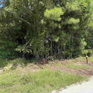 Photo #4 of 175 Dove Rd., Loris, SC 12.1 acres