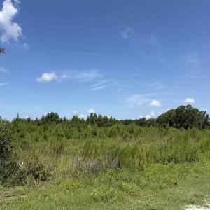 Photo #10 of 175 Dove Rd., Loris, SC 12.1 acres