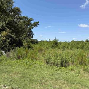 Photo #11 of 175 Dove Rd., Loris, SC 12.1 acres