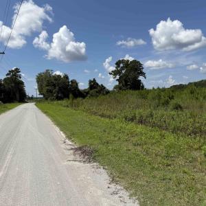 Photo #5 of 175 Dove Rd., Loris, SC 12.1 acres