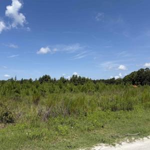 Photo #6 of 175 Dove Rd., Loris, SC 12.1 acres