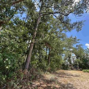 Photo #6 of TBD Black Creek Rd., Nichols, SC 7.1 acres