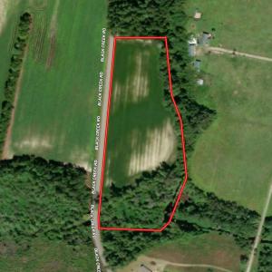 Photo #9 of TBD Black Creek Rd., Nichols, SC 7.1 acres