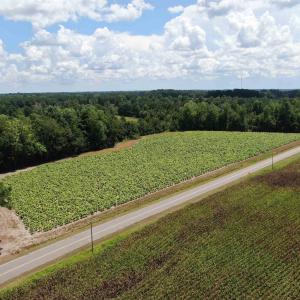 Photo #1 of TBD Black Creek Rd., Nichols, SC 7.1 acres