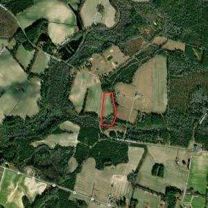 Photo #10 of TBD Black Creek Rd., Nichols, SC 7.1 acres