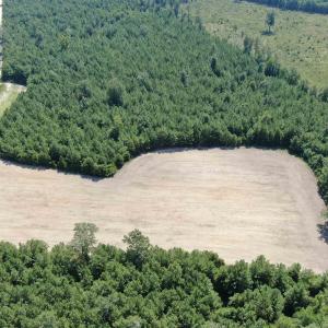 Photo #8 of TBD Pearlie Dr., Dillon, SC 105.0 acres