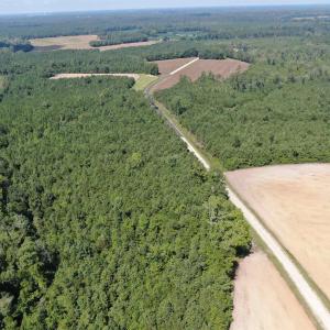 Photo #13 of TBD Pearlie Dr., Dillon, SC 105.0 acres