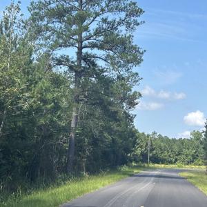 Photo #24 of TBD Pearlie Dr., Dillon, SC 105.0 acres