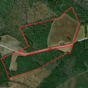 Photo #1 of TBD Pearlie Dr., Dillon, SC 105.0 acres