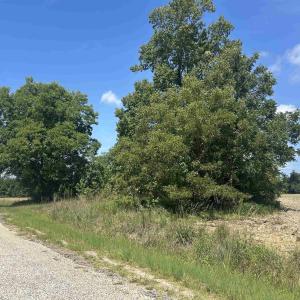 Photo #18 of TBD Pearlie Dr., Dillon, SC 105.0 acres