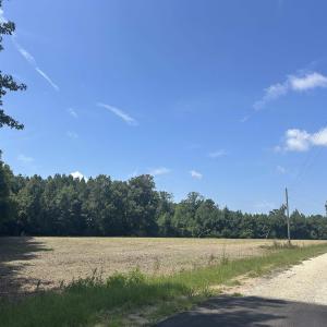 Photo #19 of TBD Pearlie Dr., Dillon, SC 105.0 acres