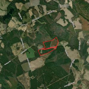 Photo #2 of TBD Pearlie Dr., Dillon, SC 105.0 acres