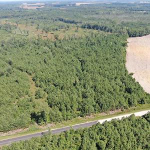 Photo #11 of TBD Pearlie Dr., Dillon, SC 105.0 acres
