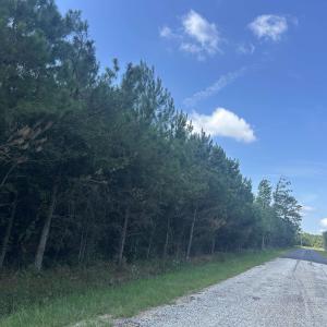 Photo #22 of TBD Pearlie Dr., Dillon, SC 105.0 acres