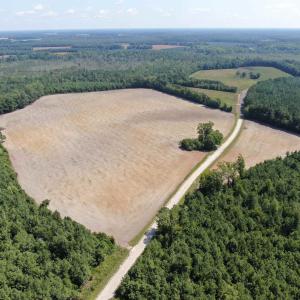 Photo #10 of TBD Pearlie Dr., Dillon, SC 105.0 acres