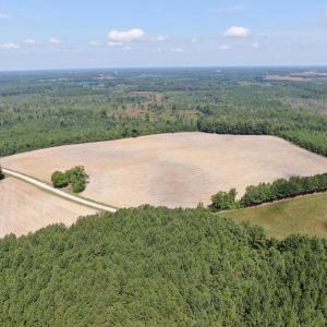Photo #5 of TBD Pearlie Dr., Dillon, SC 105.0 acres
