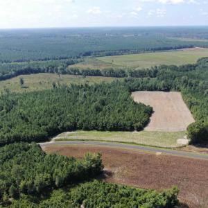 Photo #7 of TBD Pearlie Dr., Dillon, SC 105.0 acres