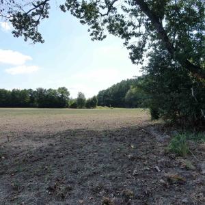 Photo #3 of TBD Pearlie Dr., Dillon, SC 105.0 acres